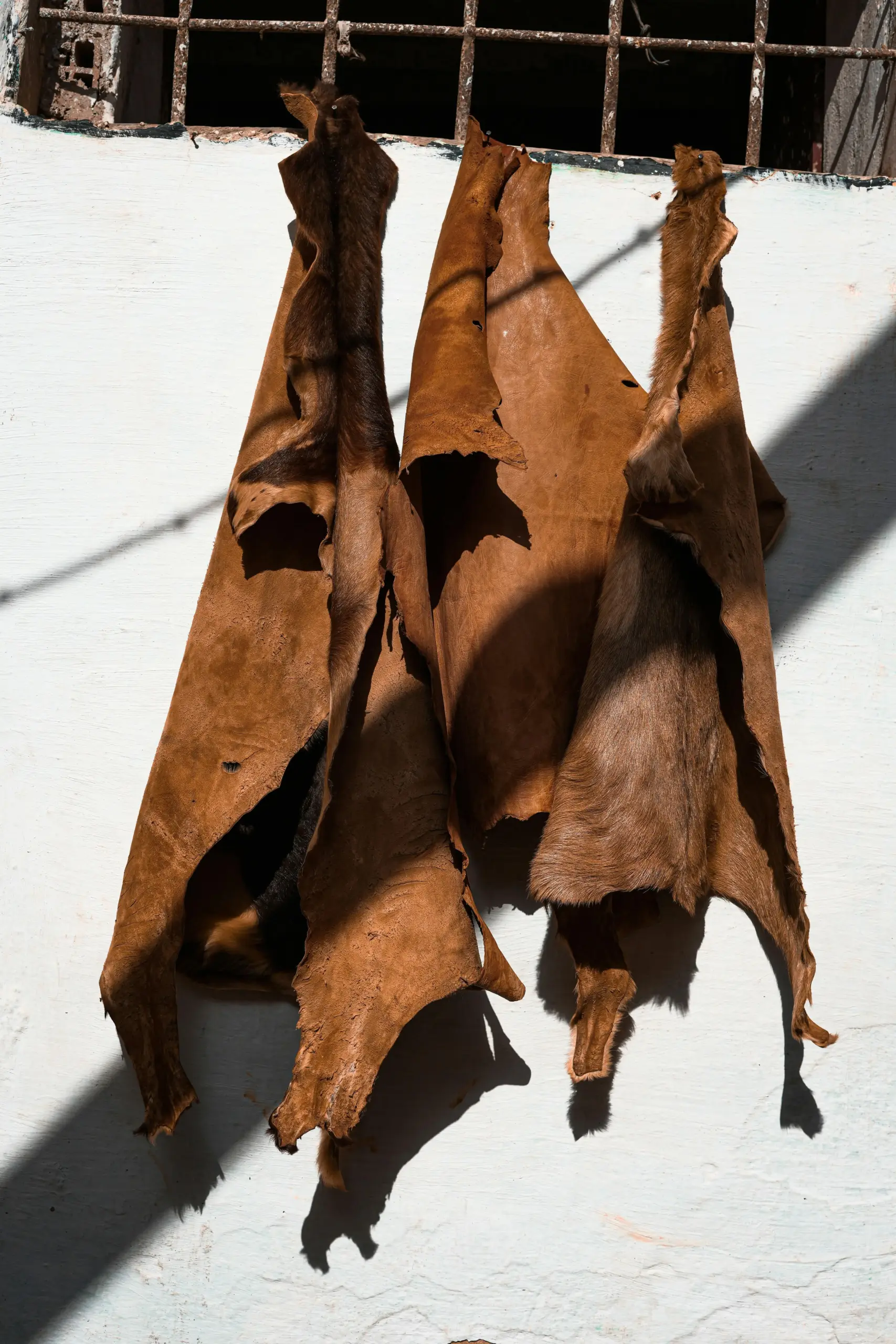 Immagine pelle grezza