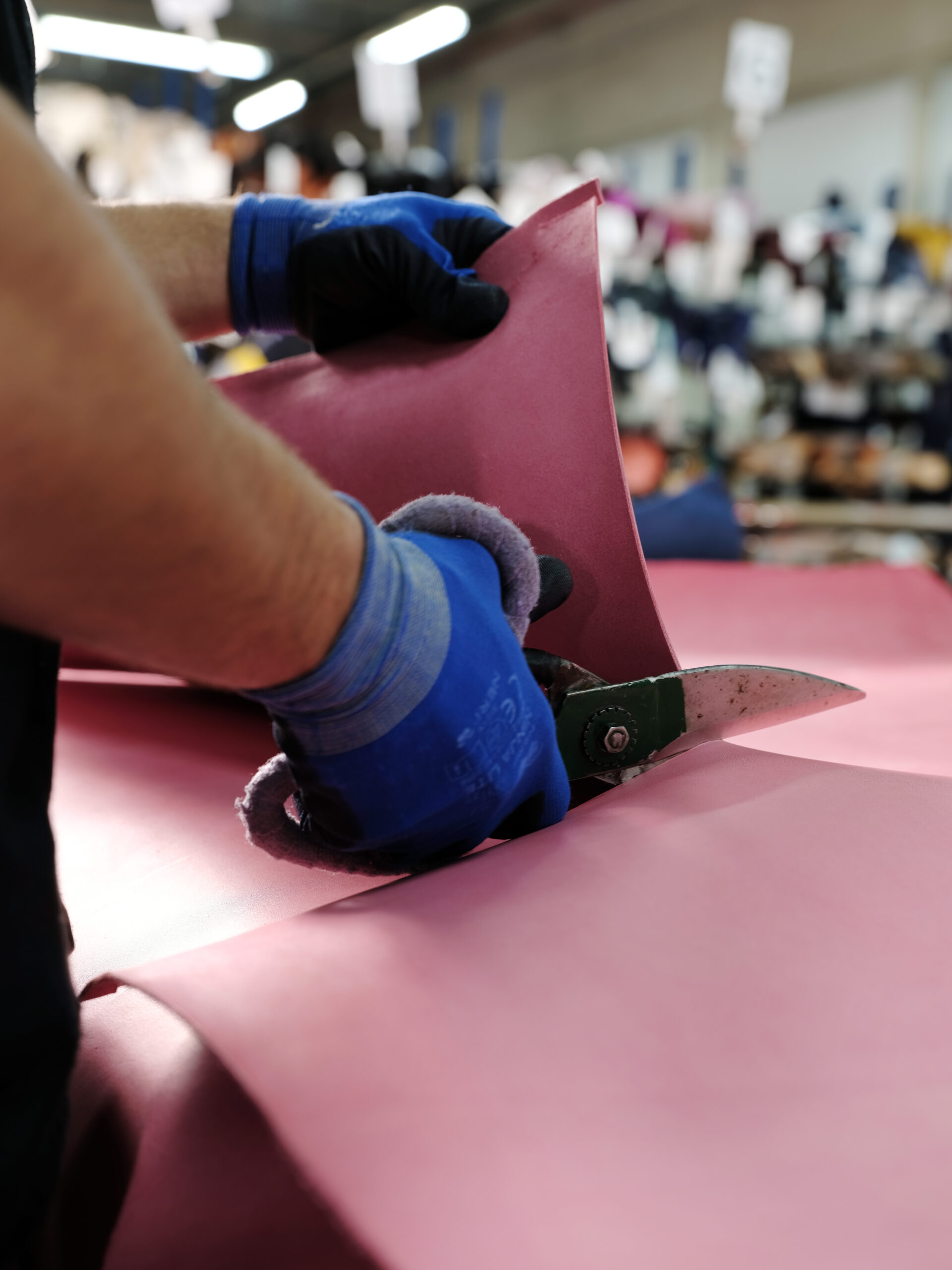 Pelle customizzata 1